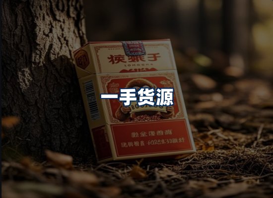 专业团队办公环境